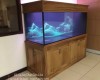 Hồ cá rồng 1m8 lắp đặt tại công ty Kim Bảo - Bình Dương
