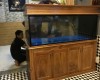 Hồ cá  cá rồng 1m55 lắp đặt tại nhà An Bình - Biên Hoà 