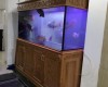 Hồ cá rồng 1m76 lắp đặt tại nhà anh Bình Thủ Đức - Tphcm 