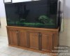 Hồ cá rồng 1m76  lắp đặt tại nhà anh Huỳnh Long Thành  - Đồng Nai 