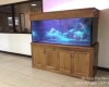 Hồ cá rồng 1m8 lắp đặt tại công ty Kim Bảo - Bình Dương