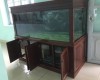 Hồ cá rồng 1m76  lắp đặt tại Sân Bay Biên Hoà   - Đồng Nai 