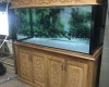 Hồ cá rồng 1m55 lắp đặt tại nhà anh Thịnh Long Bình Tân     - Biên Hoà