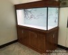 Hồ cá rồng 1m55 lắp đặt tại Biên Hoà   - Đồng Nai