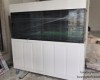 Hồ cá rồng 2m5 lắp đặt tại nhà anh Trung Phú Quốc - Kiên Giang