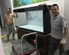 Hồ ca rồng 1m76 lắp đặt tại nhà chú Quốc - Biên Hoà