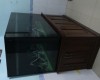 Hồ cá rồng 1m55 lắp đặt tại  nhà anhVũ An Bình - Biên Hoà