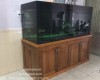 Hồ cá rồng 1m76  lắp đặt tại nhà anh Huỳnh Long Thành  - Đồng Nai 