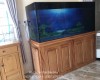 Hồ cá rồng 1m8 lắp đặt tại Nhà anh Tuấn Hố Nai - Biên Hoà 