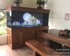 Hồ ca rồng 2m2   lắp đặt tại nhà anh Lĩnh - Bình Dương