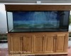 Hồ cá  cá rồng 2m  lắp đặt tại khu du lịch Vườn Xoài -  Biên Hoà