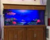 2 Hồ cá rồng 2m2 lắp đặt tại nhà a Tuấn Hố Nai - Biên Hoà