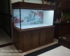 Hồ cá rồng 1m55 lắp đặt tại nhà anh Tuấn Tân Phong - Biên Hoà .