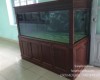 Hồ cá rồng 1m76  lắp đặt tại Sân Bay Biên Hoà   - Đồng Nai 
