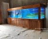 Hồ cá rồng 4m8 lắp đặt tại nhà anh Thanh Phú Quốc - Kiên Giang 