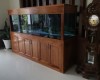 Hồ cá rồng 2m5!lắp đặt tại nhà anh Hùng Biên Hoà
