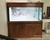 Hồ cá rồng 1m55 lắp đặt tại Biên Hoà   - Đồng Nai