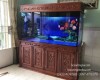 Hồ cá rồng 1m6 lắp đặt tại nhà anh Hữu Hố Nai - Biên Hoà