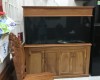 Hồ cá rồng 1m5 lắp đặt tại nhà anh Minh Biên Hoà 
