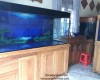 Hồ cá rồng 2m2  lắp đặt tại Hố Nai - Biên Hoà