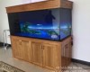 Hồ cá rồng 1m7 lắp đặt tại nhà anh Đại Tam Phước  - Biên Hoà