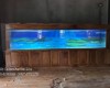 Hồ cá rồng 4m8 lắp đặt tại nhà anh Thanh Phú Quốc - Kiên Giang 