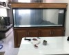 Hồ cá rồng 2m lắp đặt tại  nhà chú Trí   Biên Hoà
