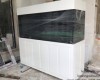 Hồ cá rồng 2m5 lắp đặt tại nhà anh Trung Phú Quốc - Kiên Giang