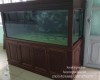 Hồ cá rồng 1m76  lắp đặt tại Sân Bay Biên Hoà   - Đồng Nai 