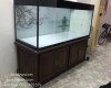 Hồ ca rồng 1m76 lắp đặt tại nhà chú Quốc - Biên Hoà