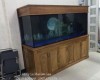 Hồ cá rồng 2m2 lắp đặt tại nhà anh Hùng Biên Hoà