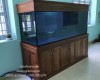 Hồ cá rồng 2 lắp đặt tại nhà anh Hùng Tân Phong - Biên Hoà 