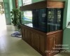 Hồ cá rồng 2 lắp đặt tại nhà anh Hùng Tân Phong - Biên Hoà 