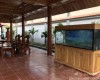 Hồ cá  cá rồng 2m  lắp đặt tại khu du lịch Vườn Xoài -  Biên Hoà