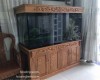 Hồ ca rồng 1m6 lắp đặt tại nhà anh Thành Hố Nai - Biên Hoà
