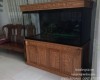 Hồ ca rồng 1m6 lắp đặt tại nhà anh Thành Hố Nai - Biên Hoà