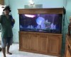 Hồ cá rồng 1m6 lắp đặt tại nhà anh Nam Phan Thiết - Bình  Thuận