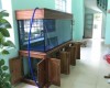 Hồ cá rồng 2 lắp đặt tại nhà anh Hùng Tân Phong - Biên Hoà 