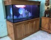 Hồ cá rồng 1m6 lắp đặt tại nhà anh Nam Phan Thiết - Bình  Thuận