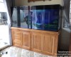 Hồ cá rồng 2m2  lắp đặt tại Hố Nai - Biên Hoà