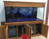 Hồ cá rồng 1m8 lắp đặt tại nhà anh An Vũng Tàu