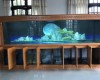 Hồ cá rồng 4m lắp đặt tại Vĩnh Long