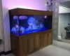 Hồ cá rồng 2m2 lắp đặt tại nhà anh Hùng Biên Hoà