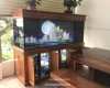 Hồ ca rồng 2m2   lắp đặt tại nhà anh Lĩnh - Bình Dương