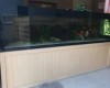 Hồ cá rồng 3m lắp đặt tại nhà anh Dương Trảng Dài - Biên Hoà 