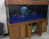 Hồ 2m x 69 x 81