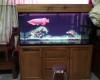 Hồ cá rồng 1m55 lắp đặt tại nhà anh Phúc Trảng Dài  - Biên Hoà .