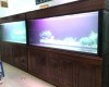 2 Hồ cá rồng 2m lắp đặt tại nhà chú Đức cổng 2 sân bay Biên Hoà 