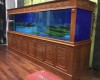 Hồ cá rồng 4m lắp đặt tại nhà anh Vũ Mỹ Phứơc - Bình Dương 
