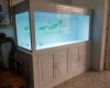 Hồ cá rồng 1m55  lắp đặt tại nhà anh Hiển Biên Hoà - Đông Nai